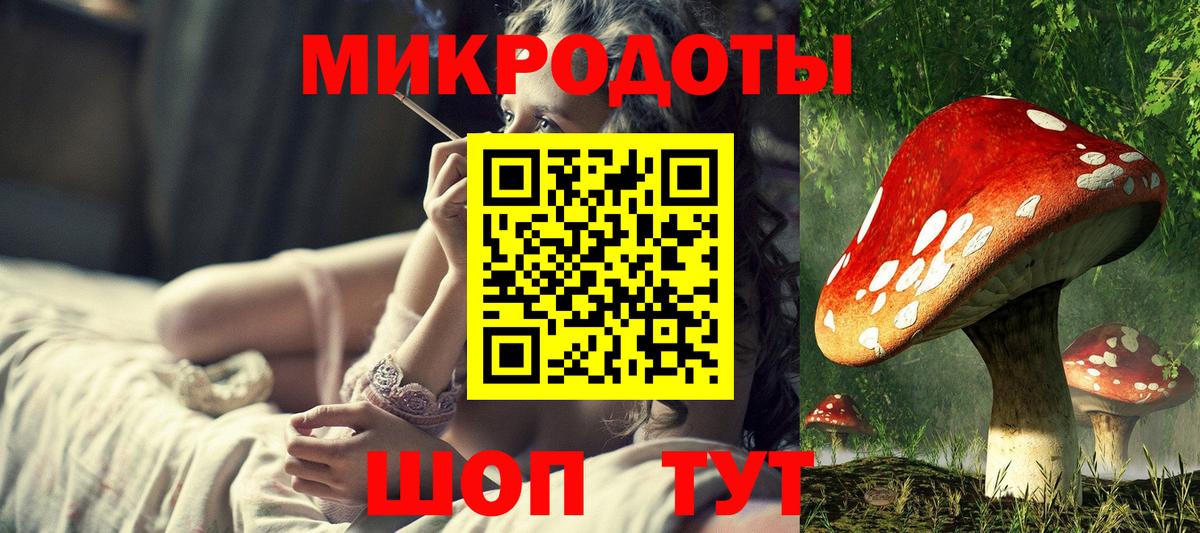 Псилоцибиновые грибы Psilocybe Каменск-Уральский
